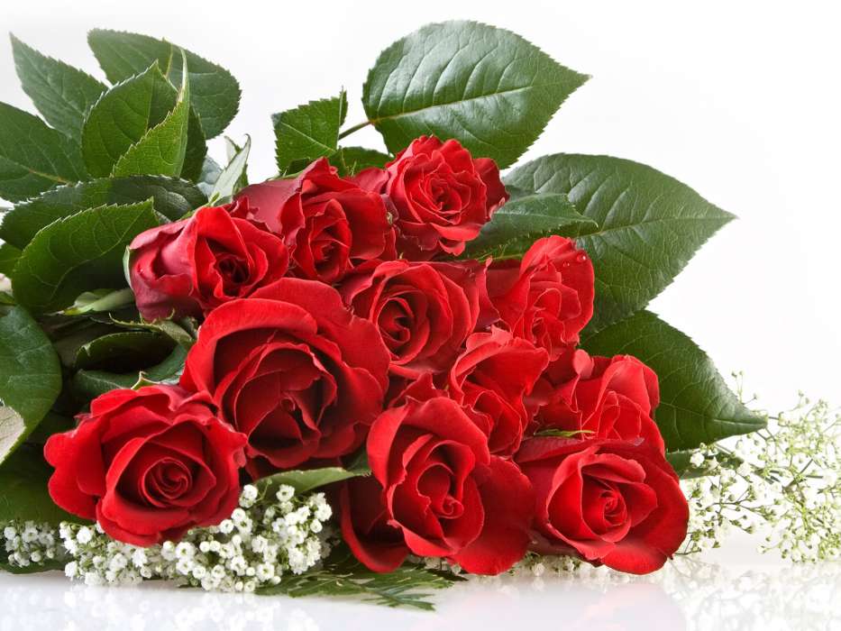 bukety cvety rasteniya rozy 37767